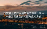 白虎91｜站在实用角度的整理：新用户最容易遇到的问题与应对方式