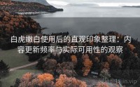 白虎嫩白使用后的直观印象整理：内容更新频率与实际可用性的观察
