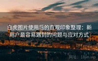 白虎图片使用后的直观印象整理：新用户最容易遇到的问题与应对方式