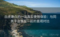 白虎嫩白的一次真实使用体验：与同类平台放在一起的直观对比