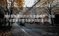 围绕蜜桃视频的实际使用感想：功能设置复杂度与新手友好度评估