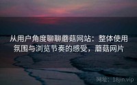 从用户角度聊聊蘑菇网站：整体使用氛围与浏览节奏的感受，蘑菇网片