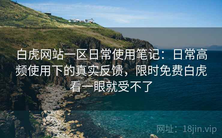 白虎网站一区日常使用笔记：日常高频使用下的真实反馈，限时免费白虎看一眼就受不了