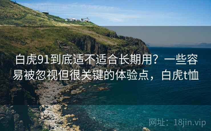 白虎91到底适不适合长期用？一些容易被忽视但很关键的体验点，白虎t恤