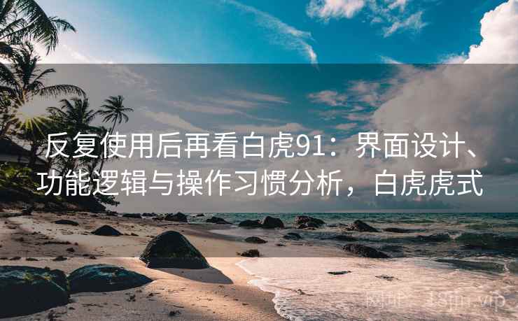 反复使用后再看白虎91：界面设计、功能逻辑与操作习惯分析，白虎虎式