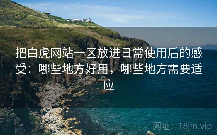 把白虎网站一区放进日常使用后的感受:哪些地方好用,哪些地方需要适应 把白虎网站一区放进日常使用后的感受:哪些地方好用,哪些地方需要适应