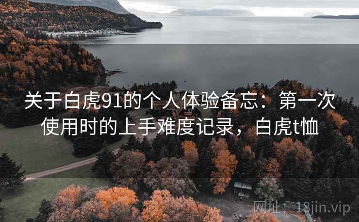 关于白虎91的个人体验备忘:第一次使用时的上手难度记录,白虎t恤 关于白虎91的个人体验备忘:第一次使用时的上手难度记录,白虎t恤