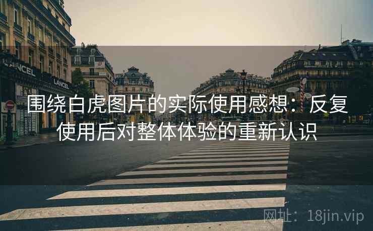 围绕白虎图片的实际使用感想：反复使用后对整体体验的重新认识