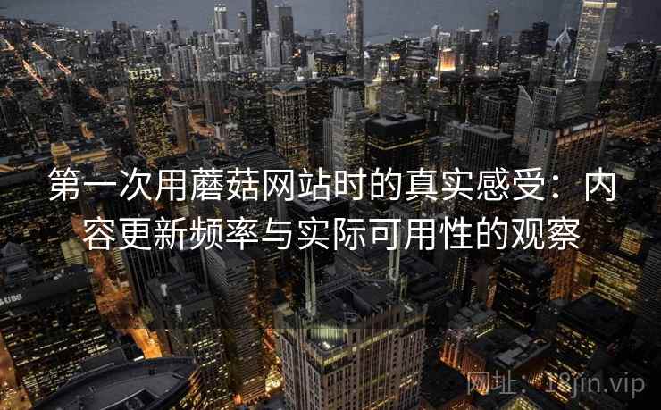 第一次用蘑菇网站时的真实感受：内容更新频率与实际可用性的观察