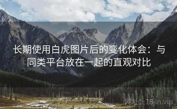 长期使用白虎图片后的变化体会：与同类平台放在一起的直观对比