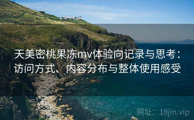 天美密桃果冻mv体验向记录与思考：访问方式、内容分布与整体使用感受