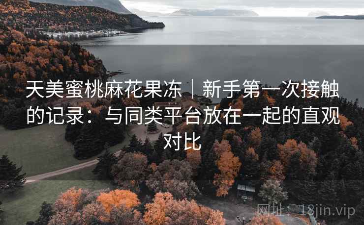 天美蜜桃麻花果冻｜新手第一次接触的记录：与同类平台放在一起的直观对比