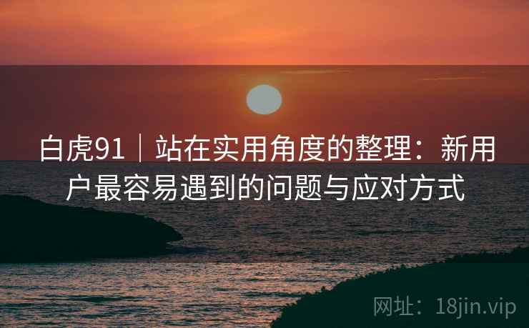 白虎91｜站在实用角度的整理：新用户最容易遇到的问题与应对方式